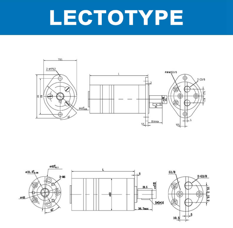 OMM series hydraulic motor