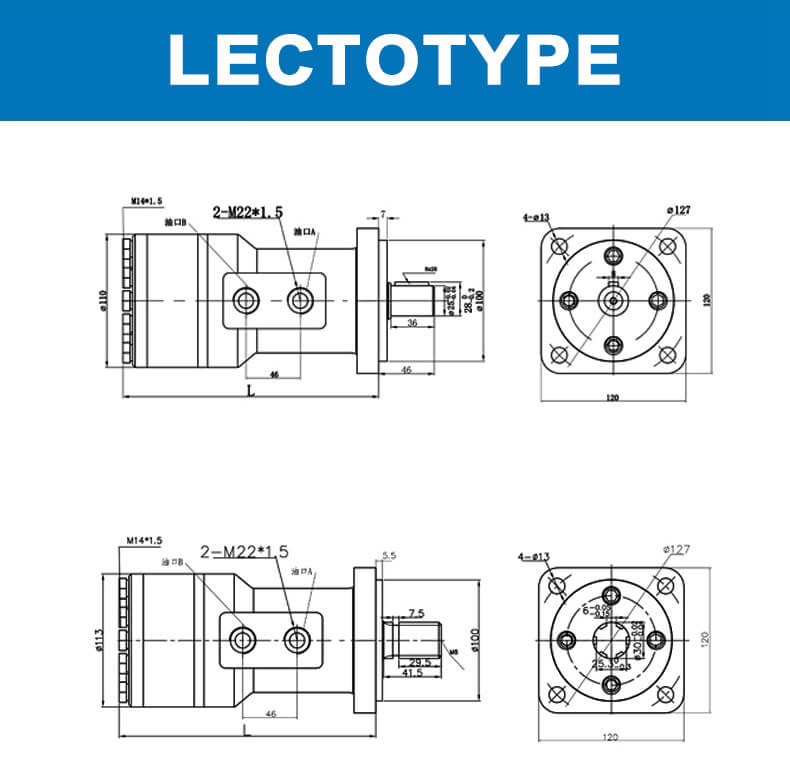 BM3 series hydraulic motor