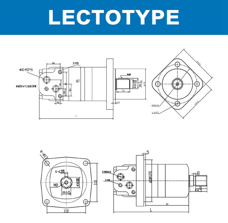 OMS rear hydraulic motor