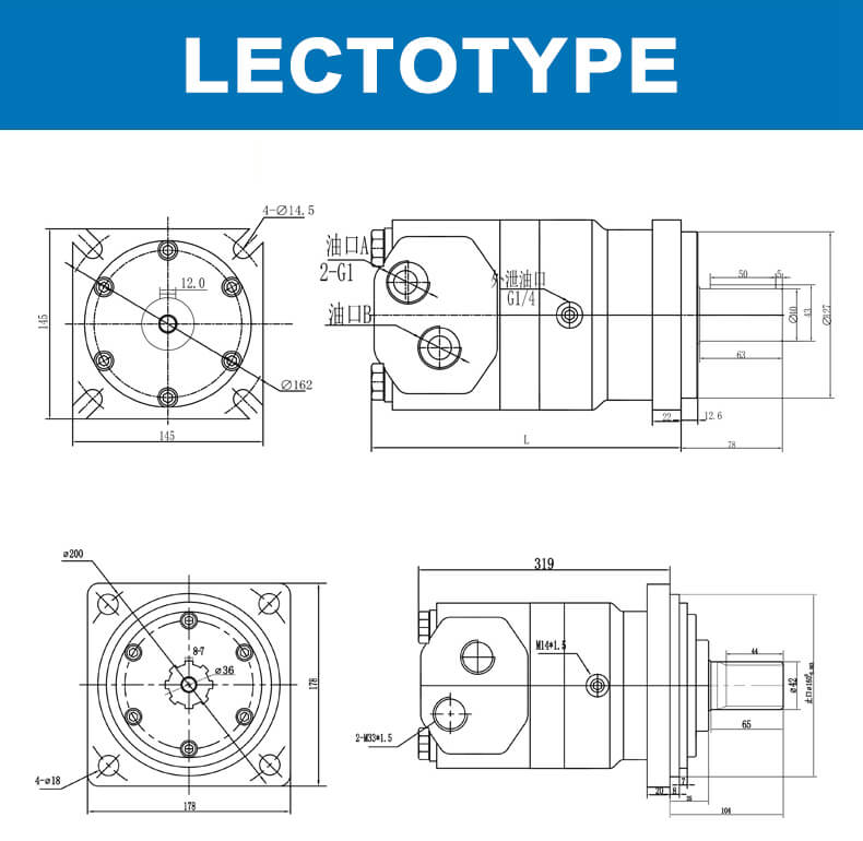 OMV series hydraulic motor